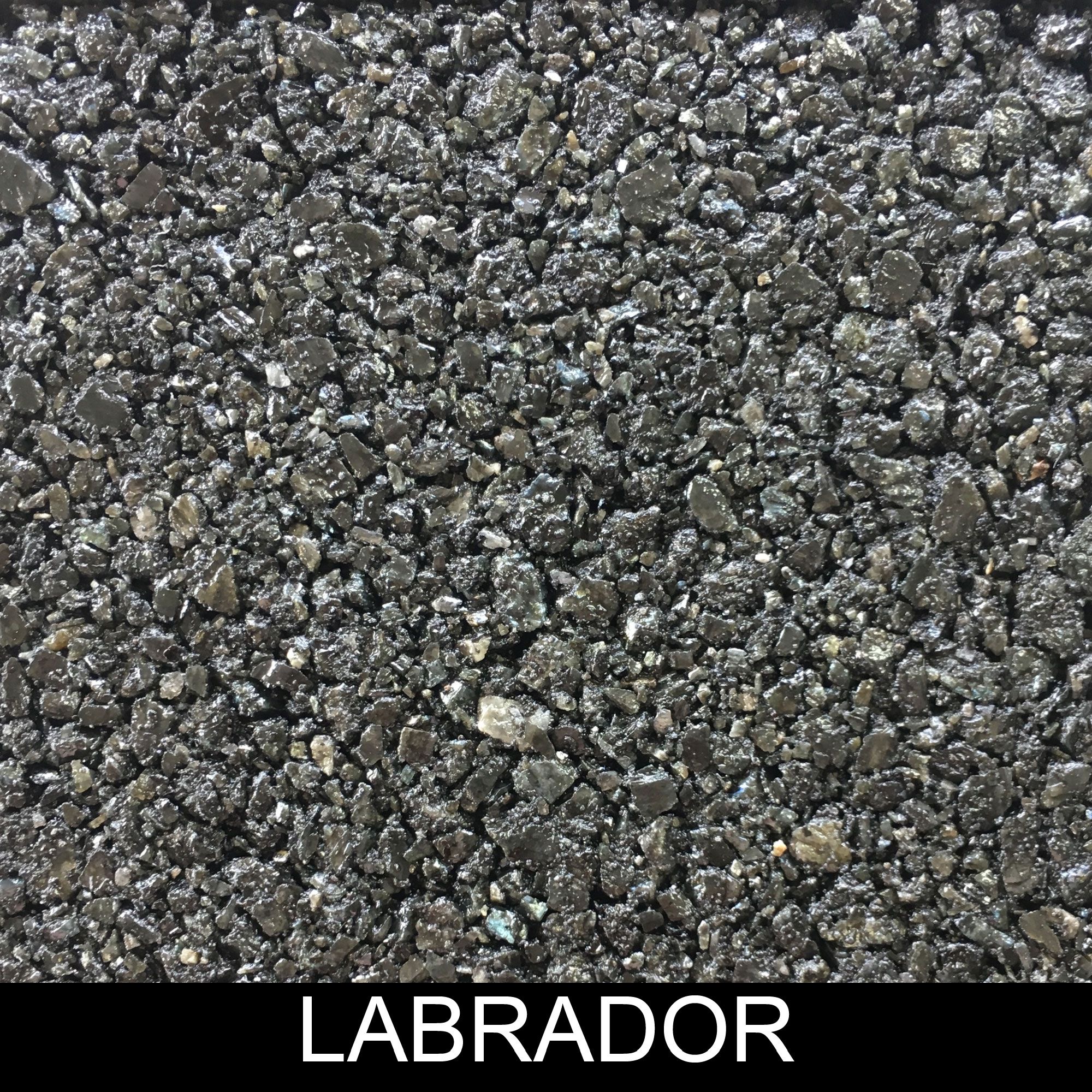 Labrador