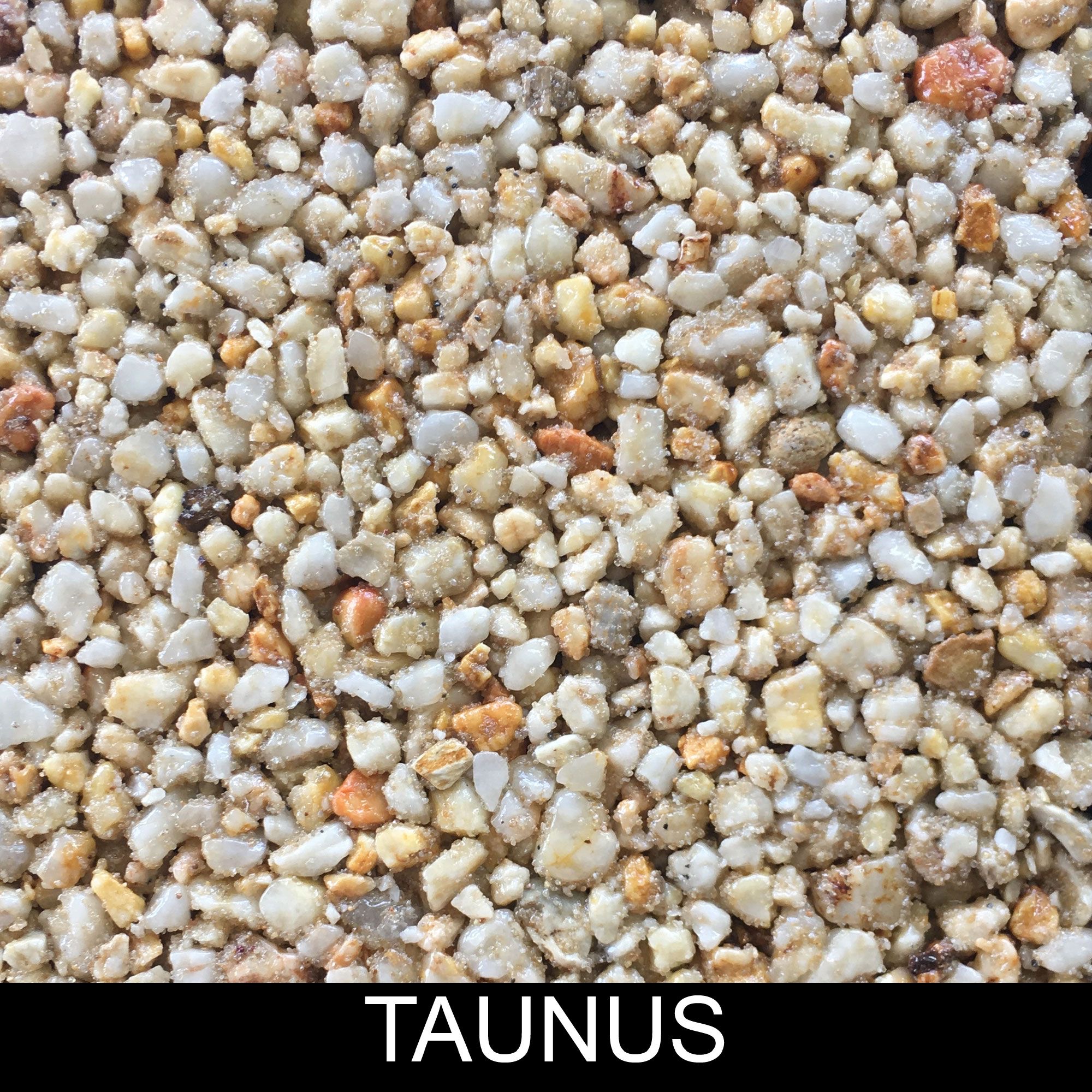 Taunus